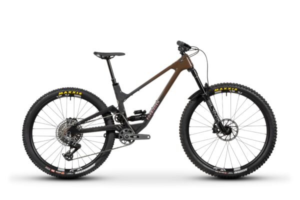 Druid 2 2025 – Image 6