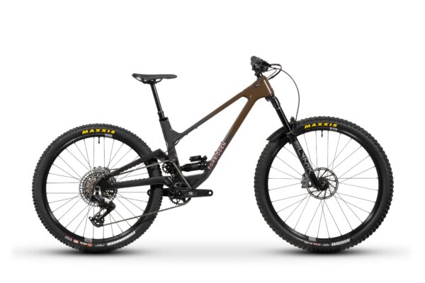 Druid 3 2025 – Image 2